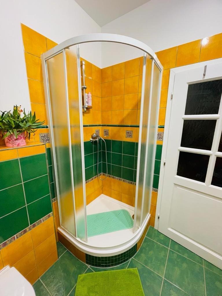 Apartman U Splavu Teplice nad Metují エクステリア 写真
