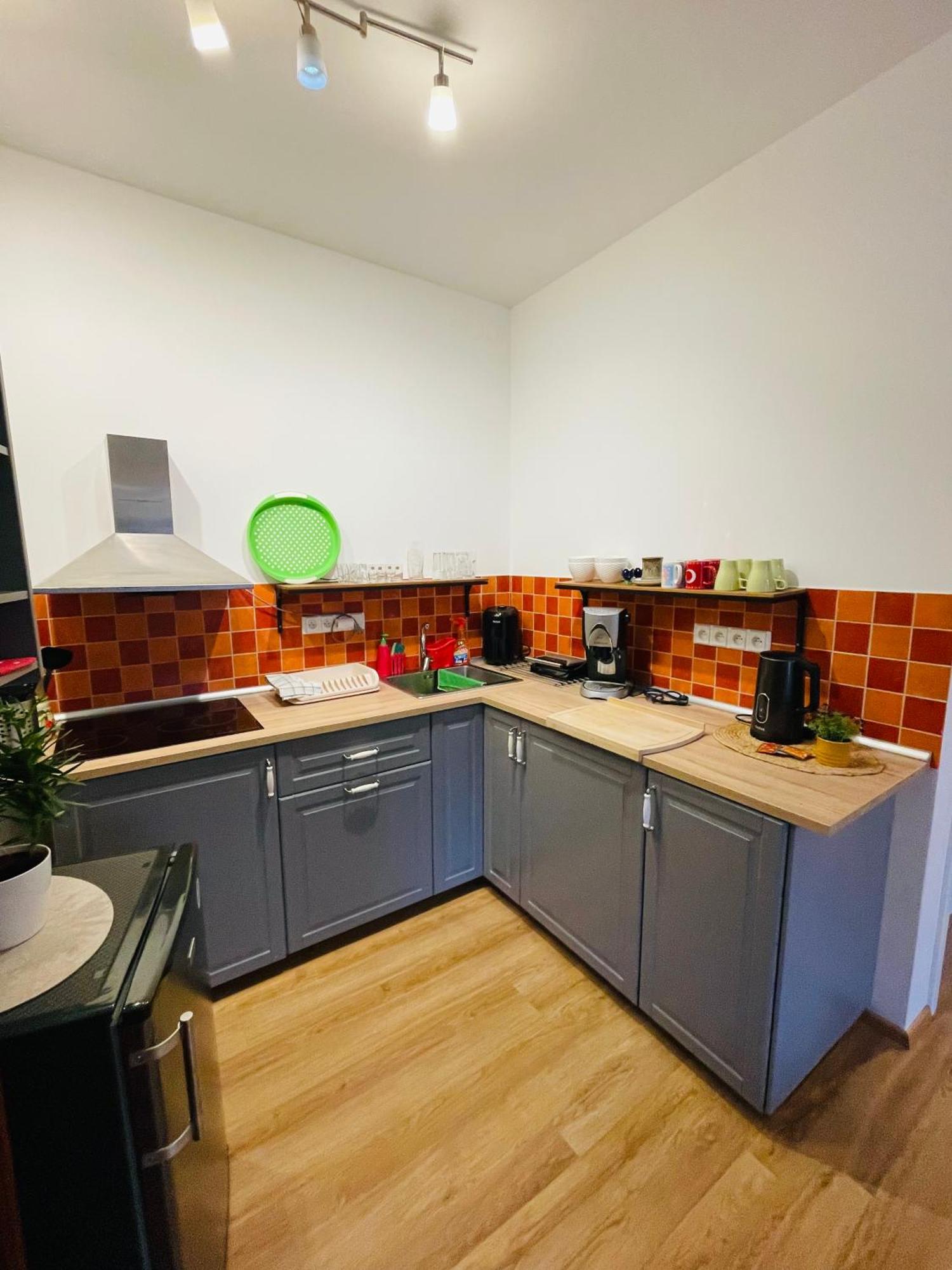 Apartman U Splavu Teplice nad Metují エクステリア 写真